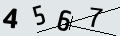 verifycode